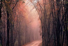 福建男篮大胜山东队，实力得到认可