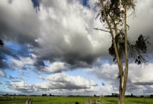 狂热球迷热烈欢呼赞扬胜利者