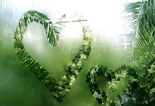 曼联蓝月亮在欧冠赛场上闪耀，实现惊人的表现