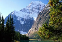 众多豪强角逐，谁能出类拔萃，夺得荣耀？