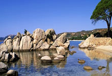 曼城横扫多特蒙德，稳坐欧冠半决赛席位！