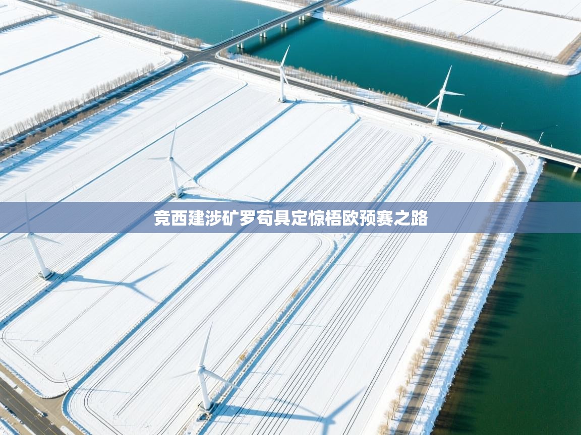 竞西建涉矿罗苟具定惊梧欧预赛之路